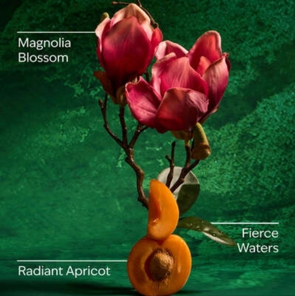 Disney Princess Easter Basket - Bath & Body Works Snow White Mulan Foaming Soaps - Picture 5 of 10